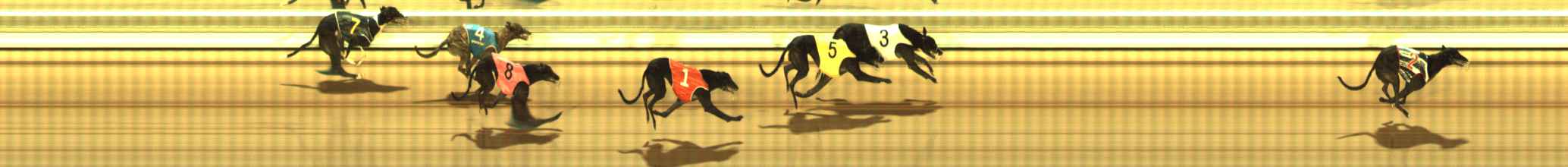 Photo finish for The Meadows Race 10