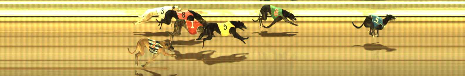 Photo finish for The Meadows Race 12