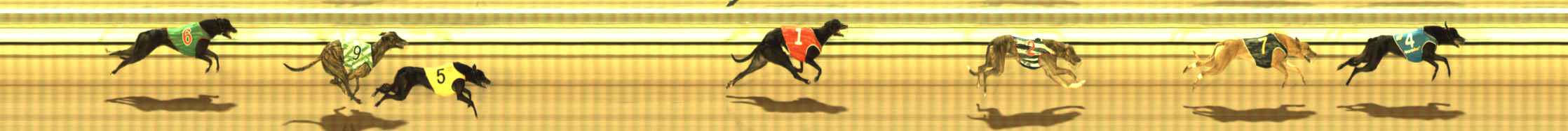 Photo finish for The Meadows Race 1