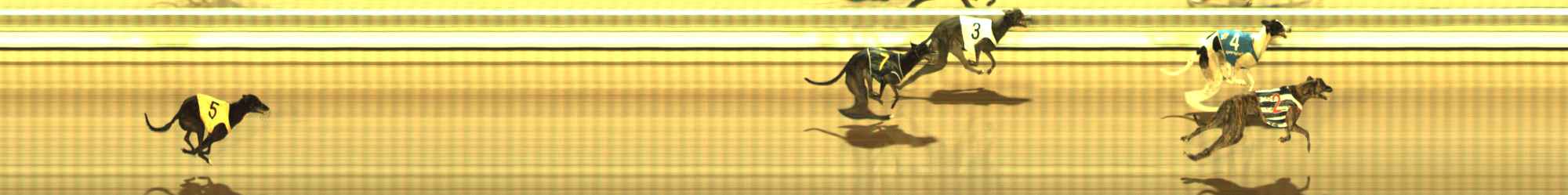Photo finish for The Meadows Race 2