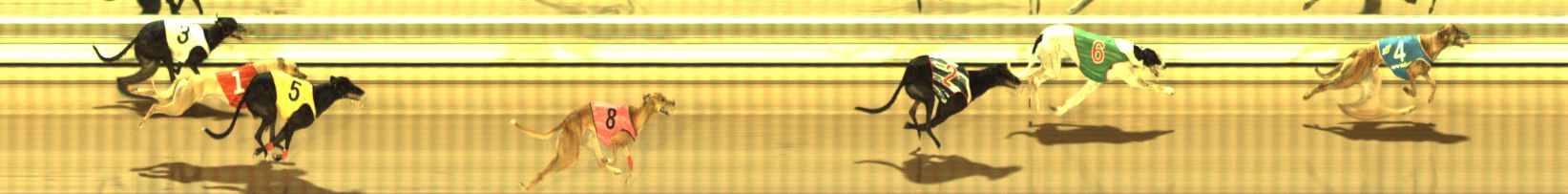 Photo finish for The Meadows Race 5