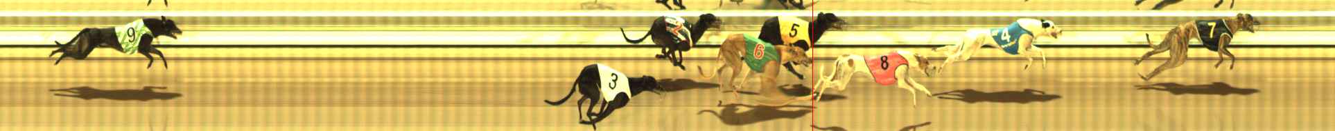 Photo finish for The Meadows Race 6