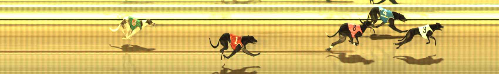 Photo finish for The Meadows Race 8