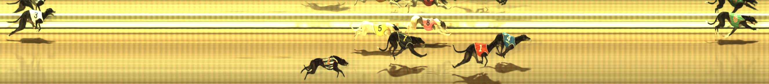 Photo finish for The Meadows Race 9