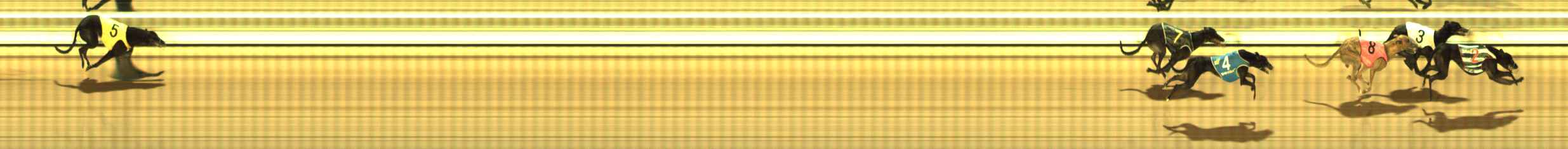 Photo finish for The Meadows Race 10