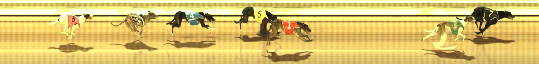 Photo finish for The Meadows Race 11