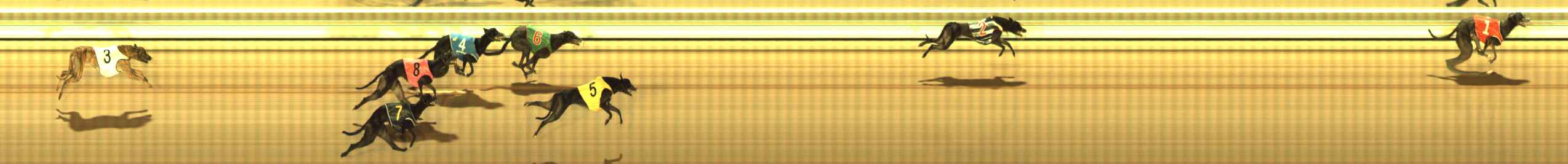 Photo finish for The Meadows Race 1