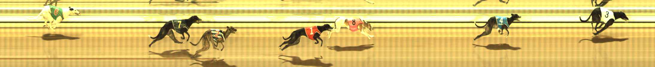 Photo finish for The Meadows Race 4