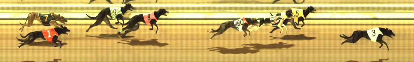 Photo finish for The Meadows Race 5