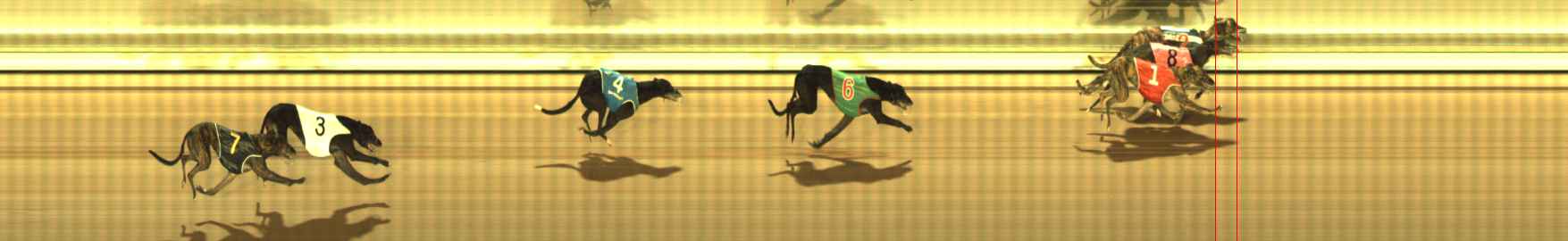 Photo finish for The Meadows Race 9