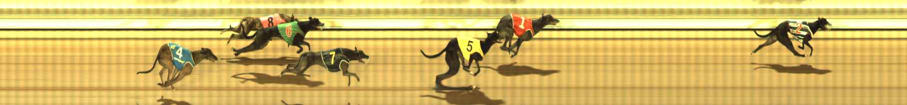 Photo finish for The Meadows Race 10