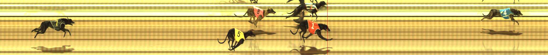 Photo finish for The Meadows Race 2