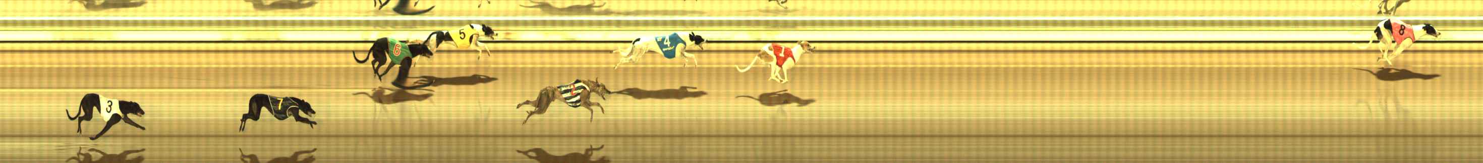 Photo finish for The Meadows Race 3