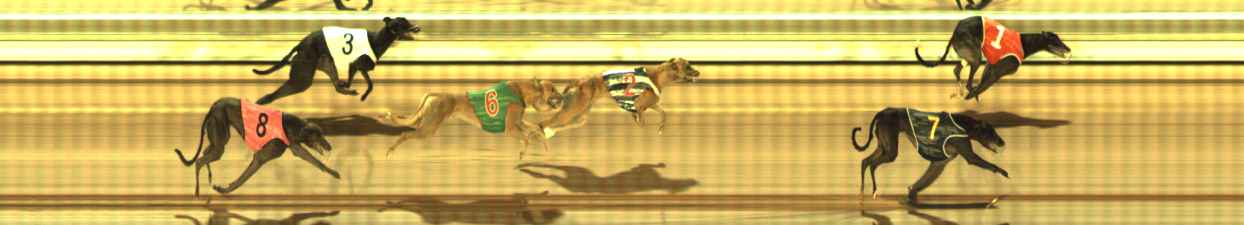 Photo finish for The Meadows Race 4