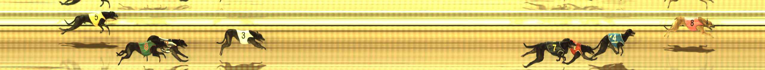 Photo finish for The Meadows Race 5