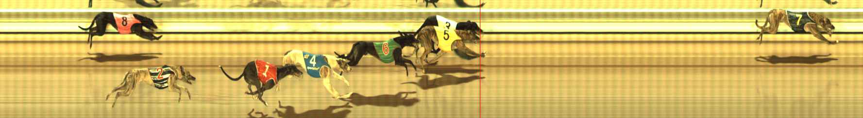 Photo finish for The Meadows Race 6