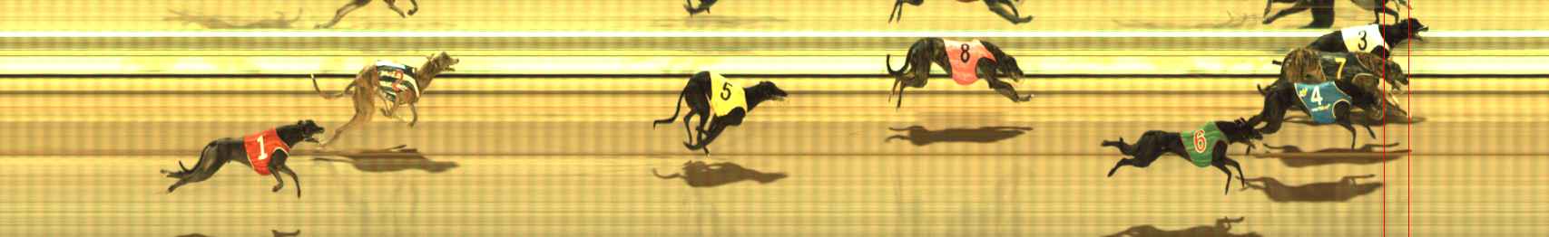 Photo finish for The Meadows Race 7