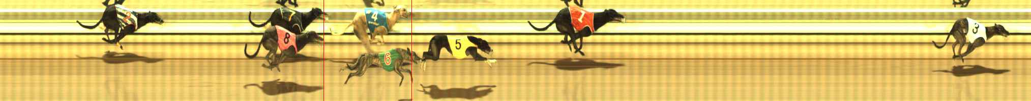 Photo finish for The Meadows Race 8