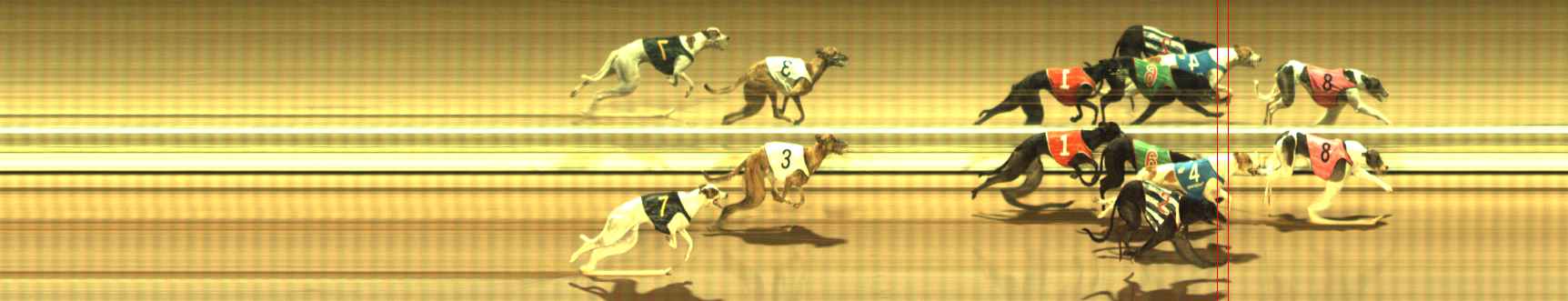 Photo finish for The Meadows Race 9