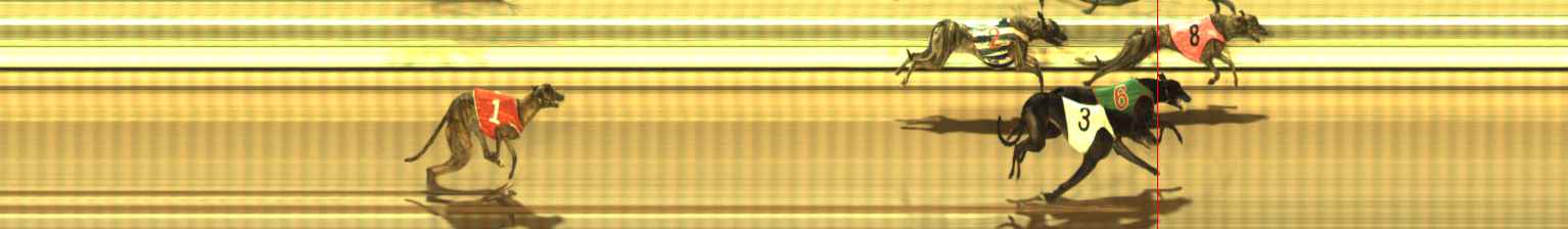 Photo finish for The Meadows Race 10
