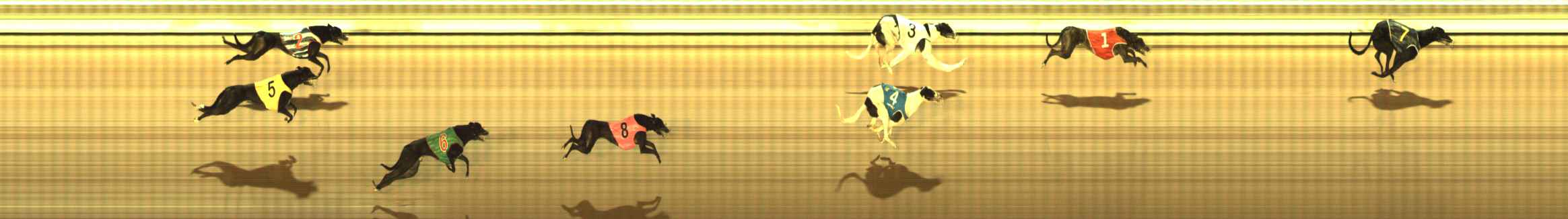 Photo finish for The Meadows Race 1