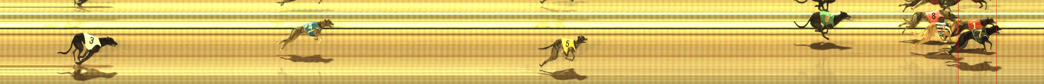 Photo finish for The Meadows Race 2
