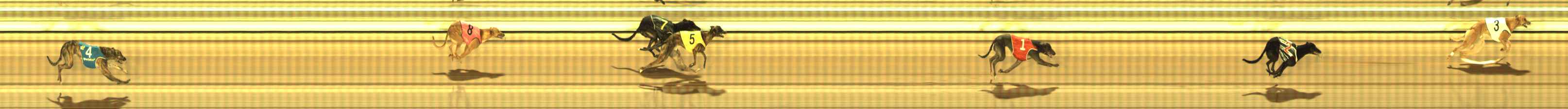 Photo finish for The Meadows Race 3