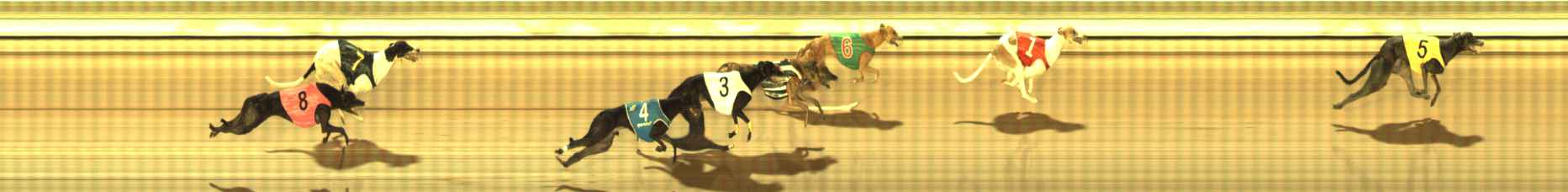 Photo finish for The Meadows Race 5