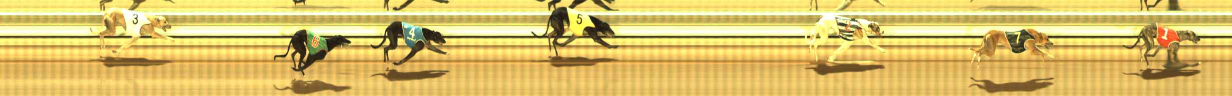 Photo finish for The Meadows Race 6