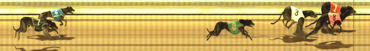 Photo finish for The Meadows Race 8