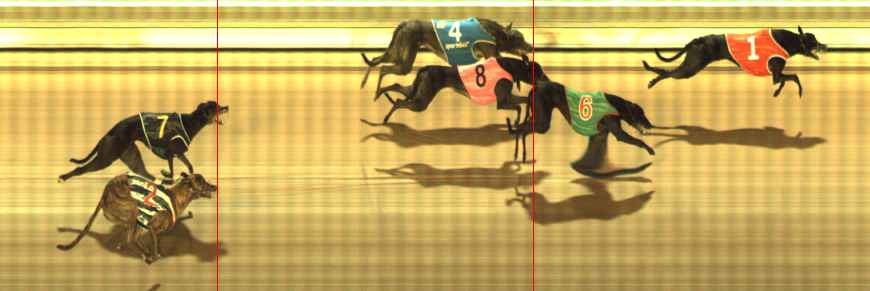 Photo finish for The Meadows Race 9