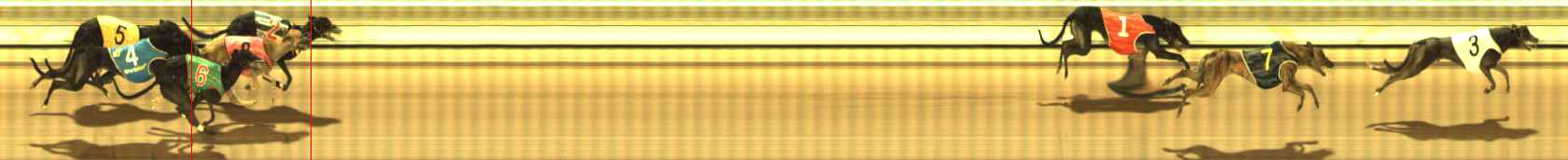 Photo finish for The Meadows Race 10