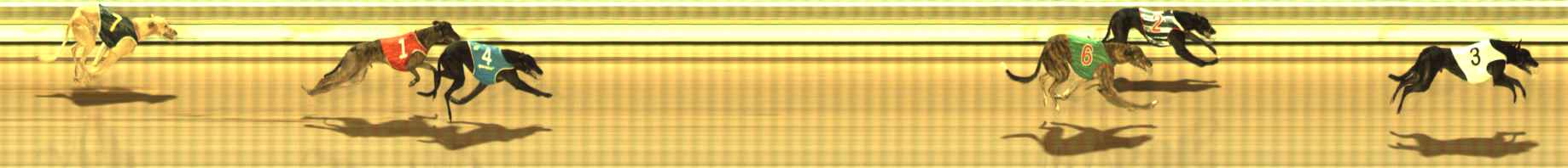 Photo finish for The Meadows Race 11