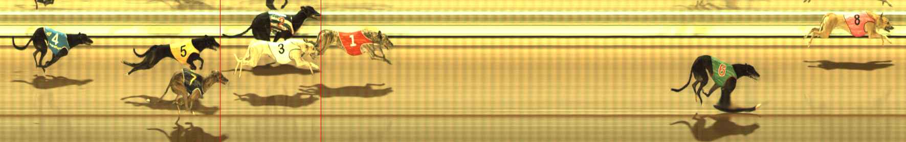Photo finish for The Meadows Race 12