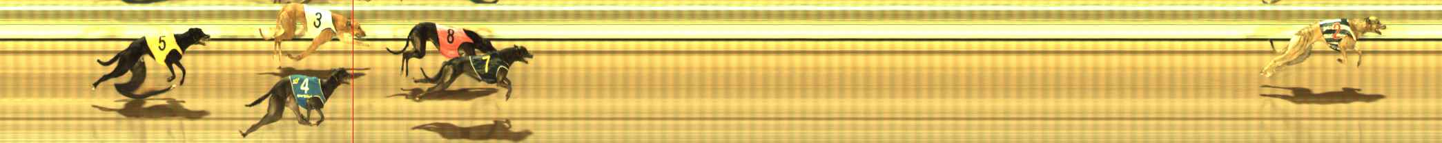Photo finish for The Meadows Race 1