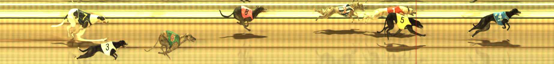 Photo finish for The Meadows Race 2