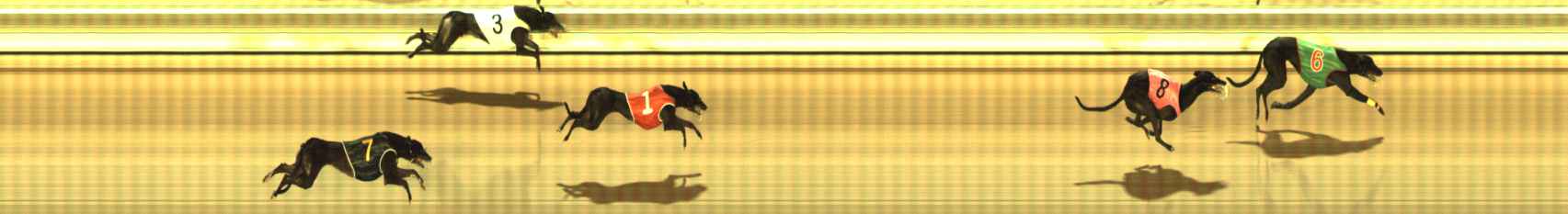 Photo finish for The Meadows Race 3