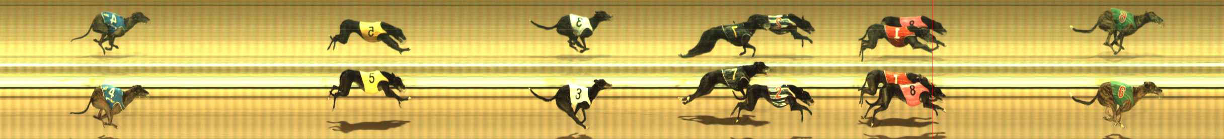 Photo finish for The Meadows Race 4