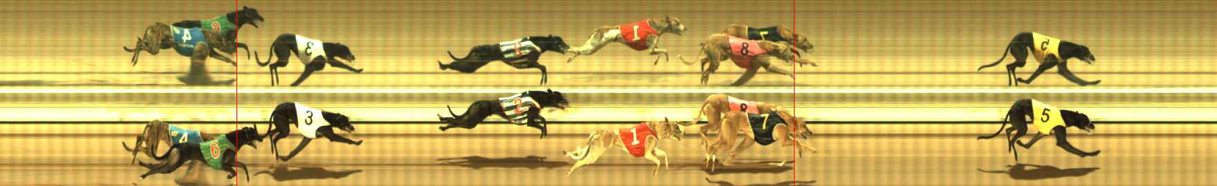 Photo finish for The Meadows Race 5