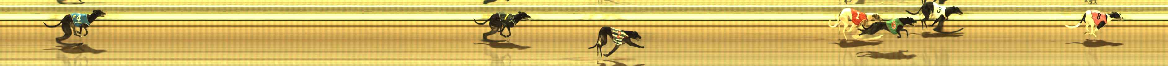 Photo finish for The Meadows Race 6
