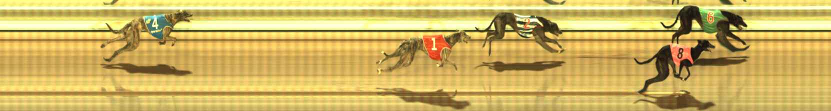 Photo finish for The Meadows Race 9