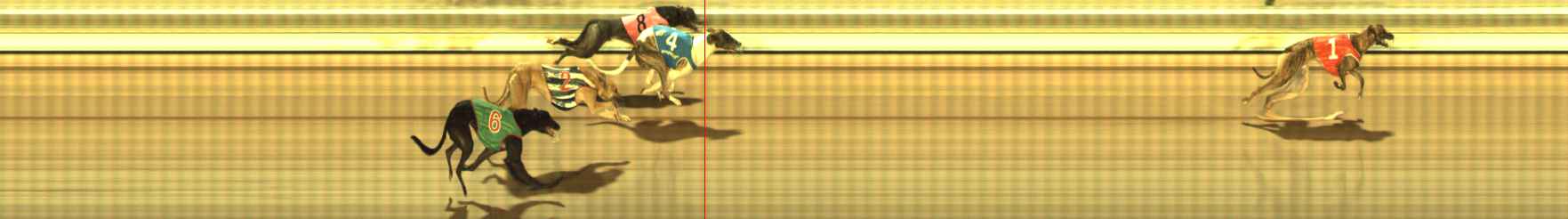 Photo finish for The Meadows Race 10