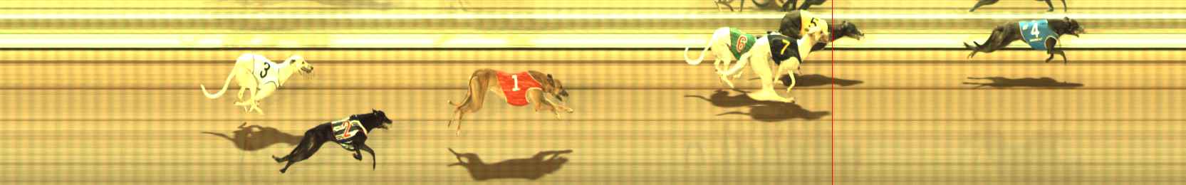 Photo finish for The Meadows Race 11