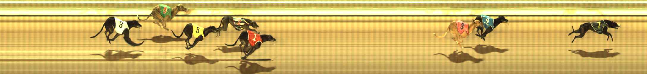 Photo finish for The Meadows Race 1