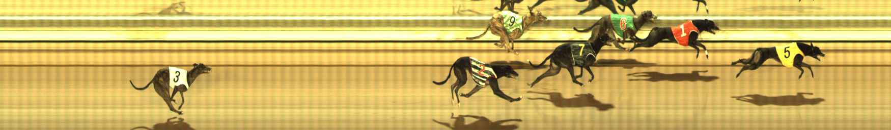 Photo finish for The Meadows Race 2