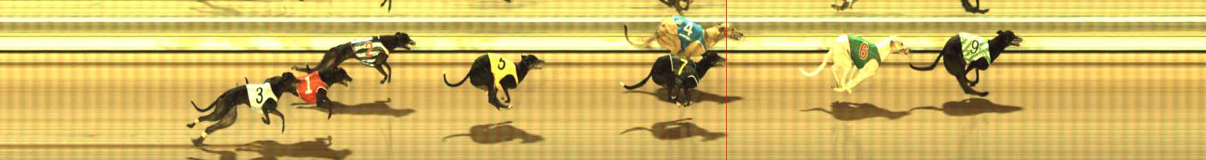 Photo finish for The Meadows Race 3