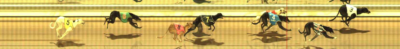Photo finish for The Meadows Race 5