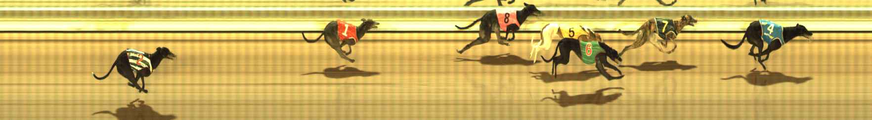 Photo finish for The Meadows Race 6