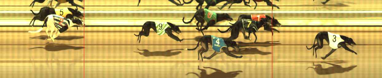 Photo finish for The Meadows Race 8