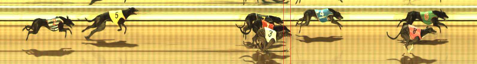 Photo finish for The Meadows Race 9